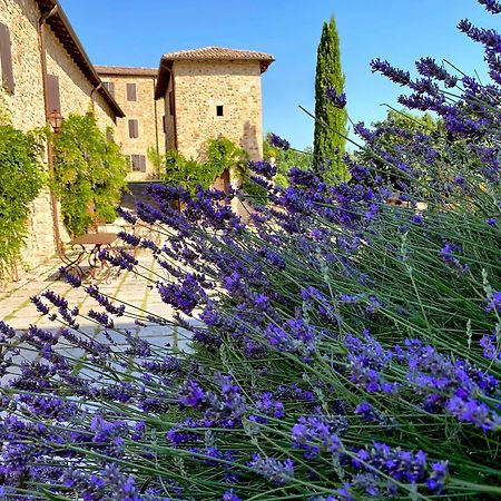 Castello Di Viano Villa Dış mekan fotoğraf