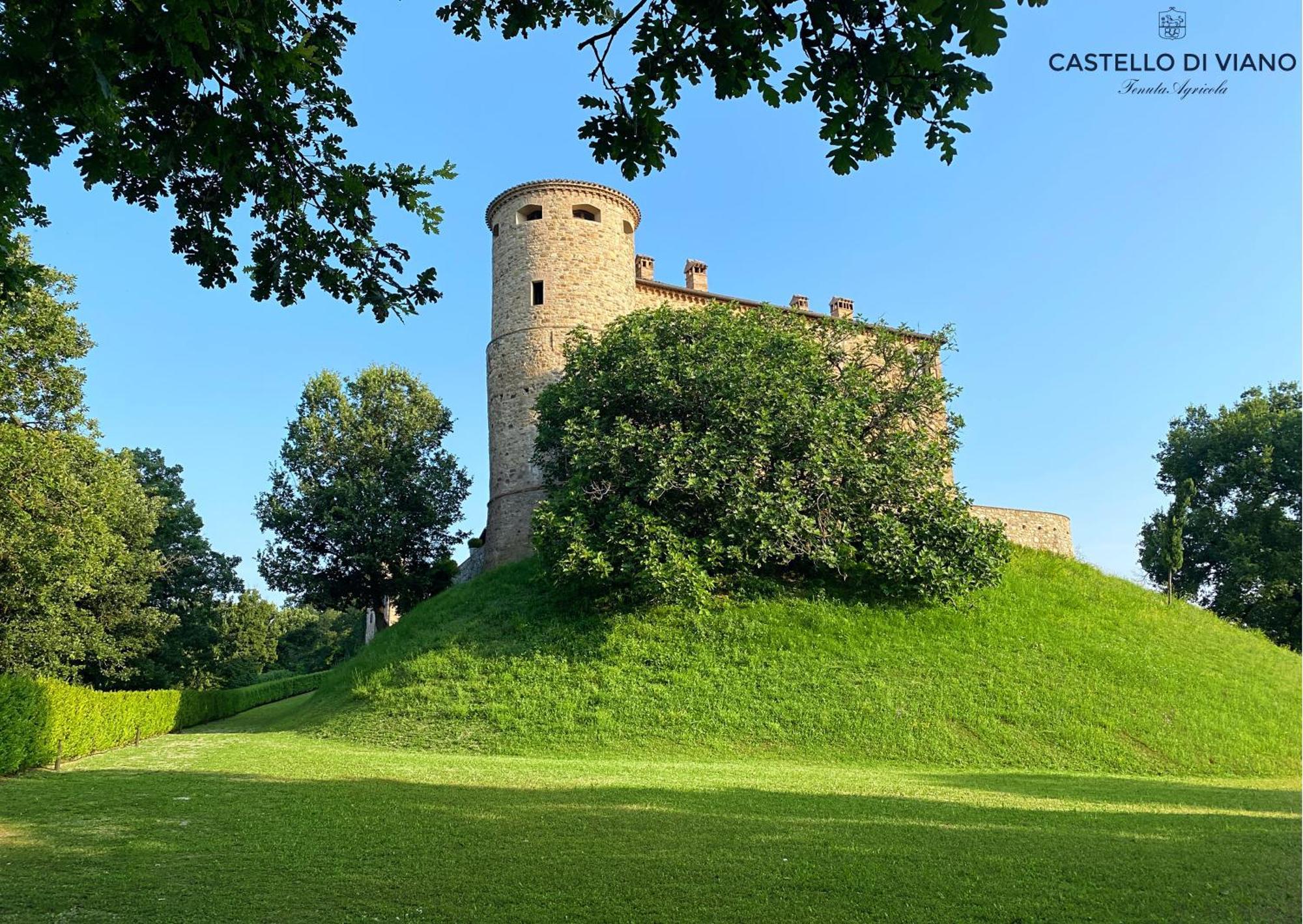 Castello Di Viano Villa Dış mekan fotoğraf
