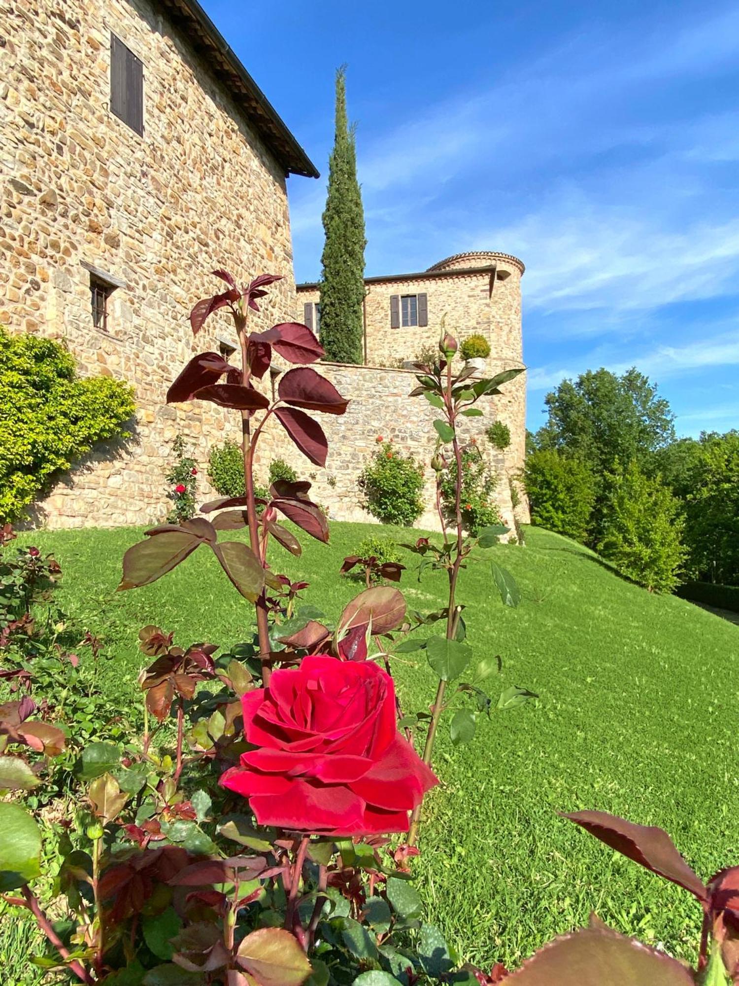 Castello Di Viano Villa Dış mekan fotoğraf